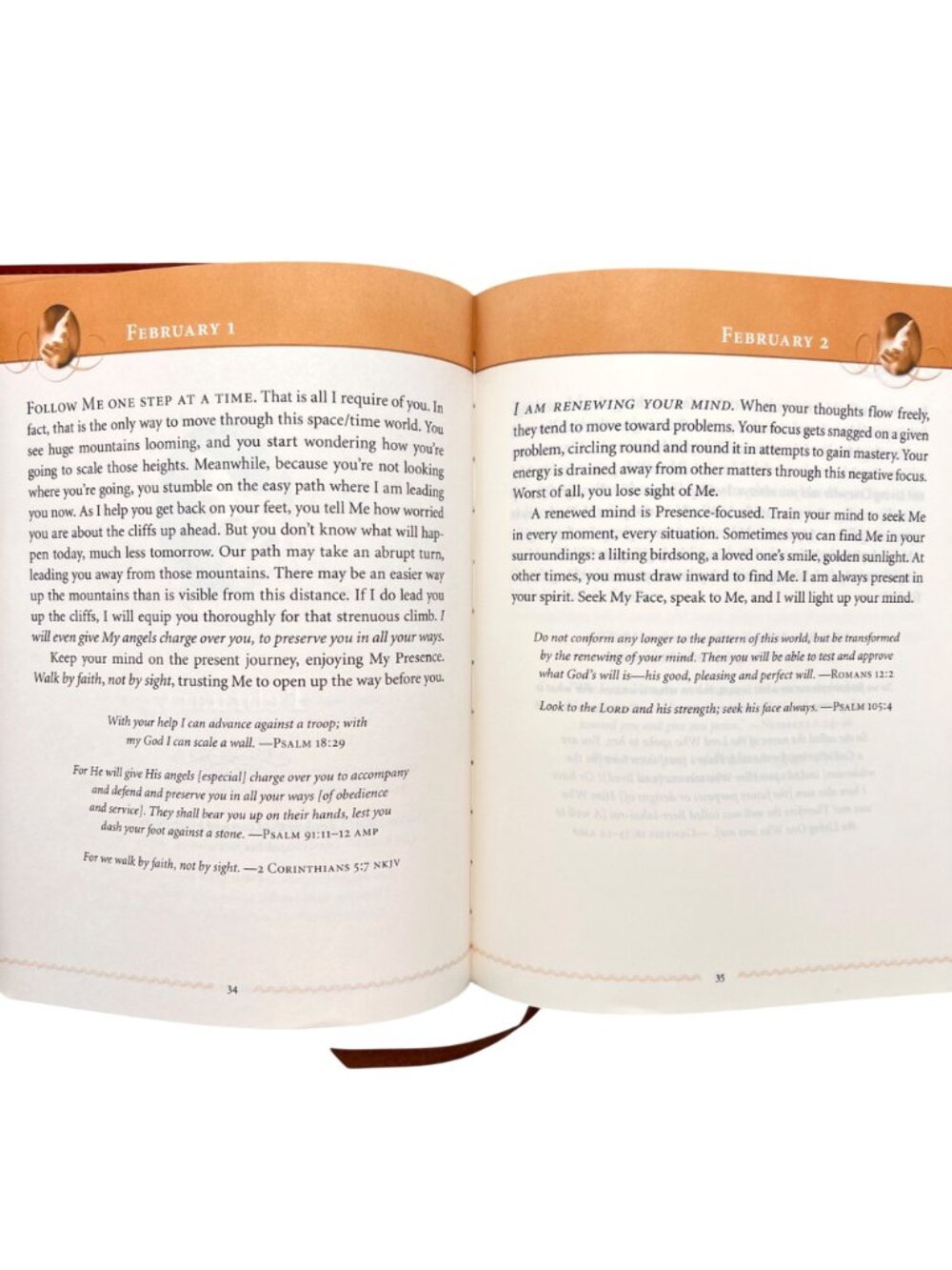 Jesus Calling Enjoying Peace 365 Daily Devotional Sarah Young Faux Leather Cover - Picture 10 of 16